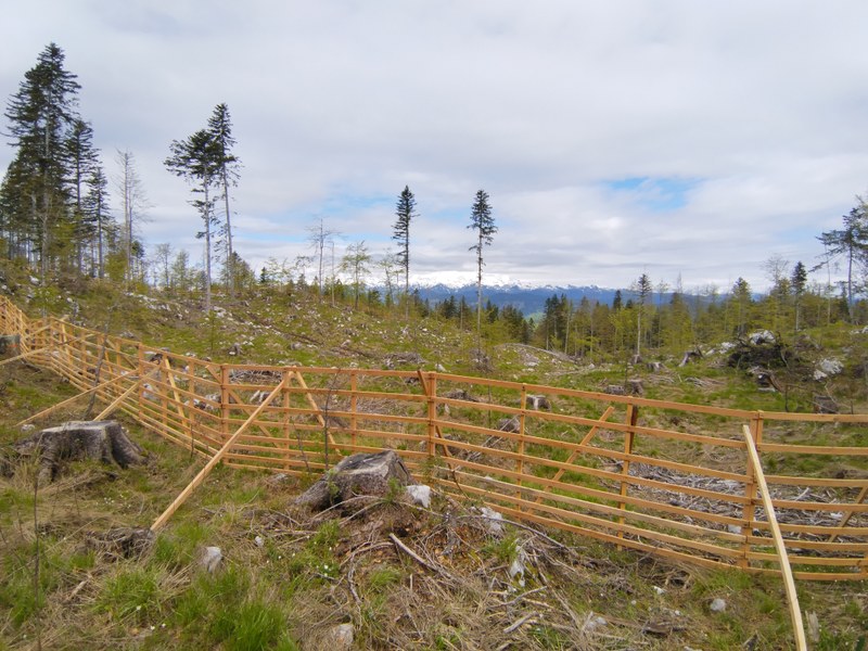 IMG 20230518 101345085