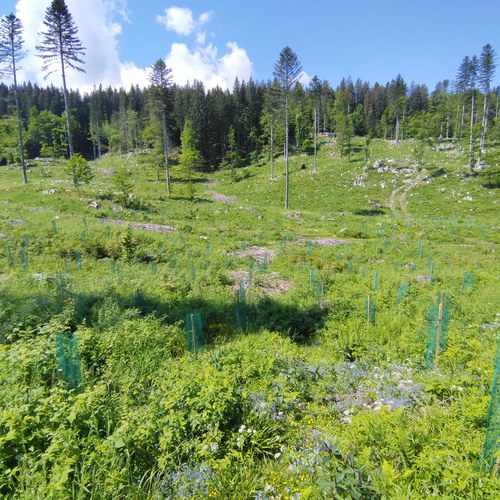 IMG 20230607 105002547