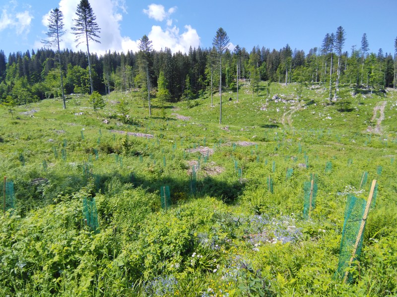 IMG 20230607 105002547