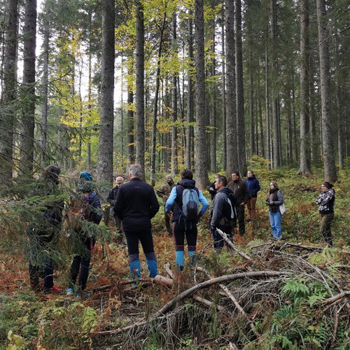 IMG 20231023 163619 (1)