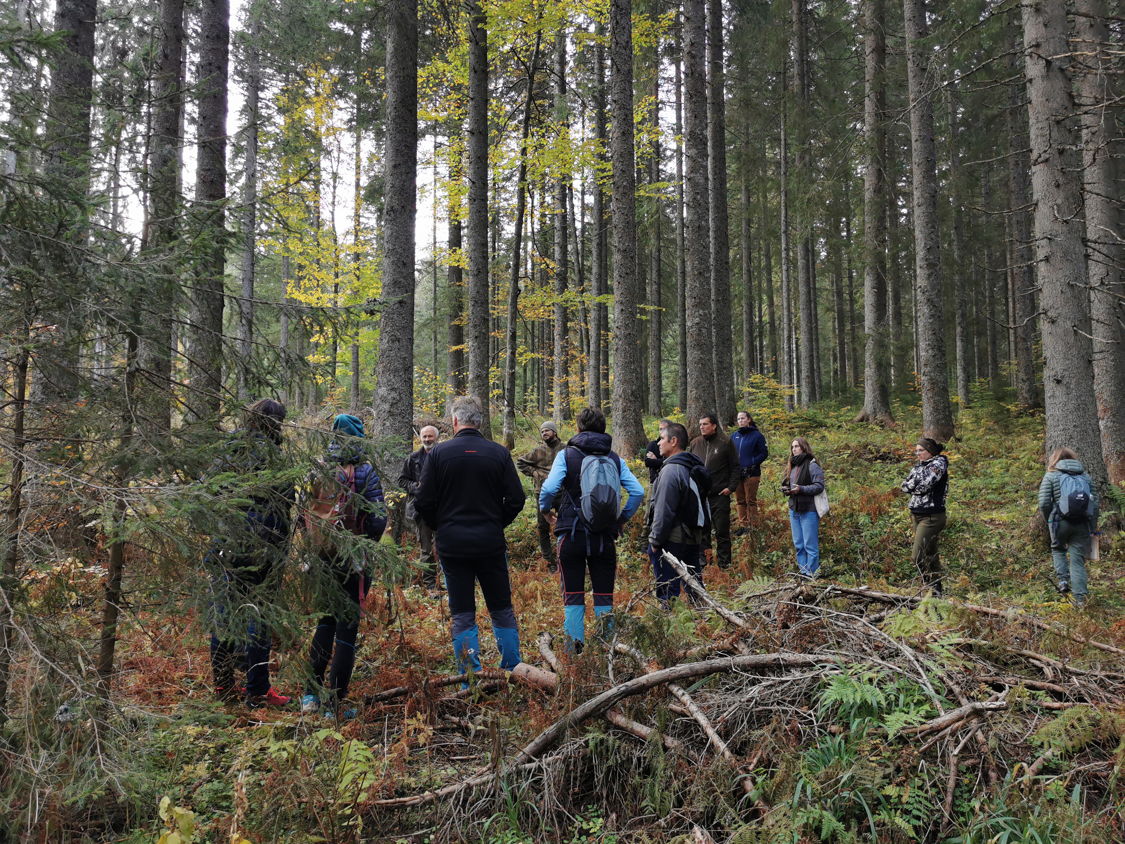 IMG 20231023 163619 (1)