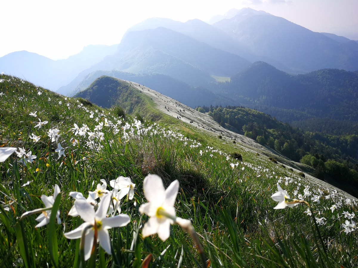 IMG_20190607_080415 (1).jpg