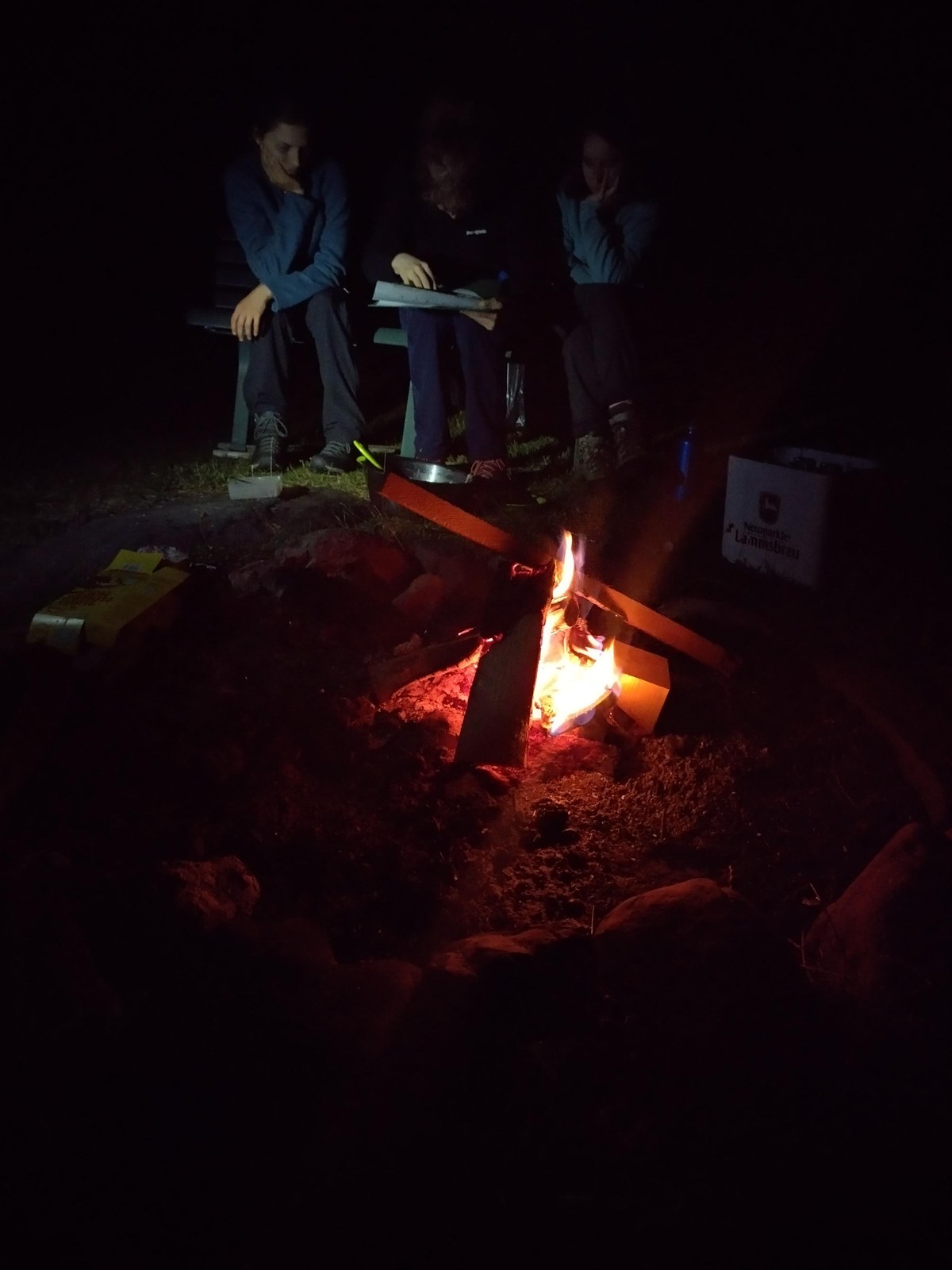 Jahresaktion JF Lagerfeuer.jpg