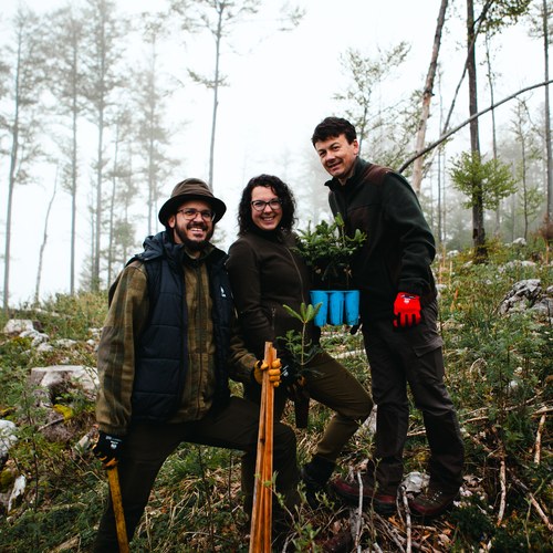 JELOVIZA  SAJENJE   EXPORT 5