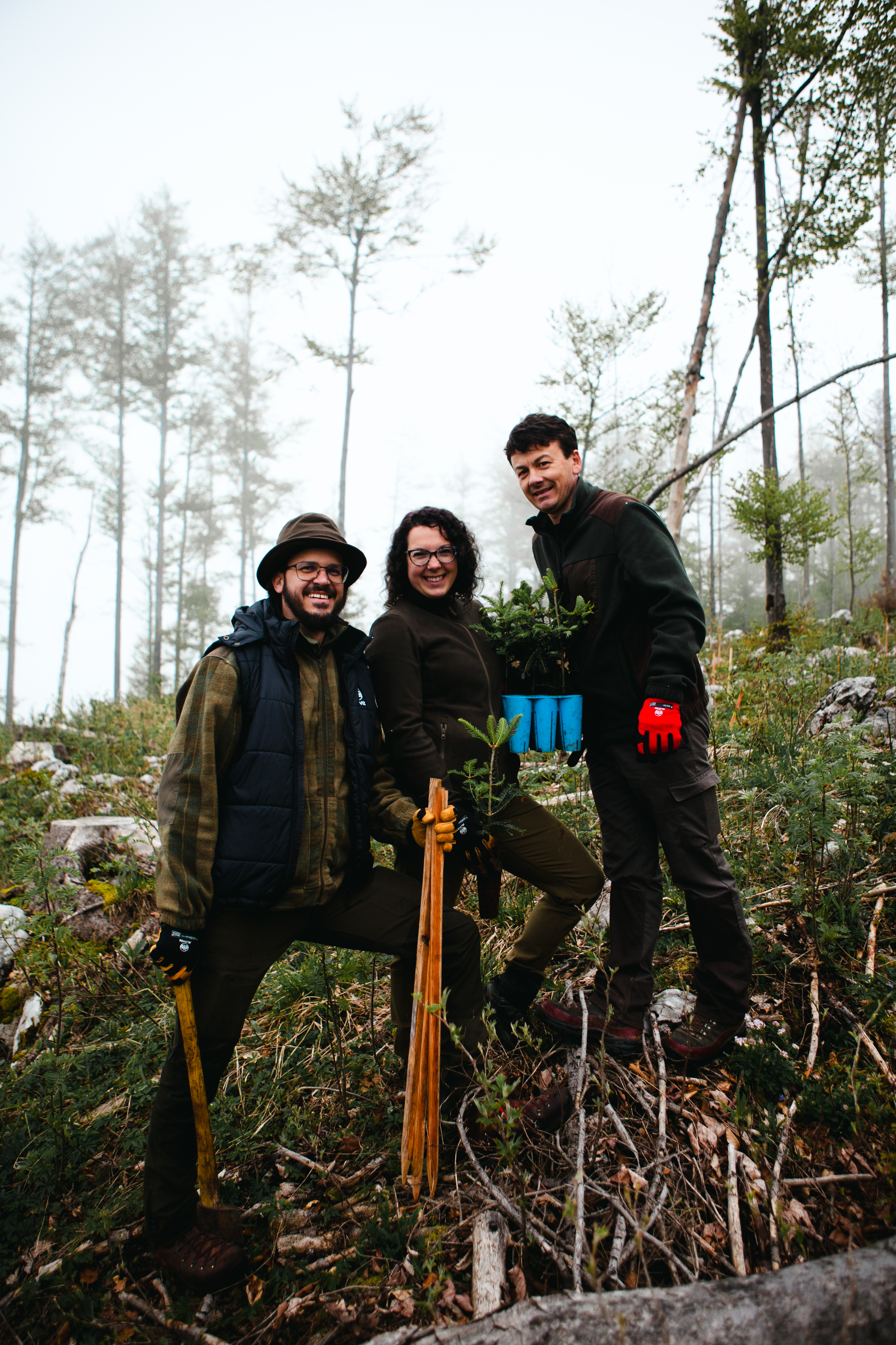 JELOVIZA  SAJENJE   EXPORT 5