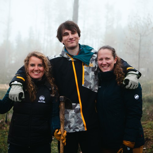 JELOVIZA  SAJENJE   EXPORT 8