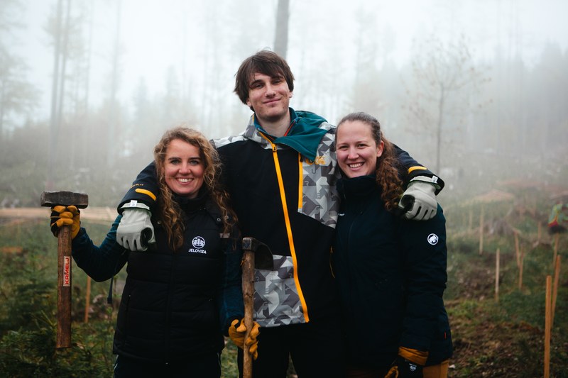 JELOVIZA  SAJENJE   EXPORT 8