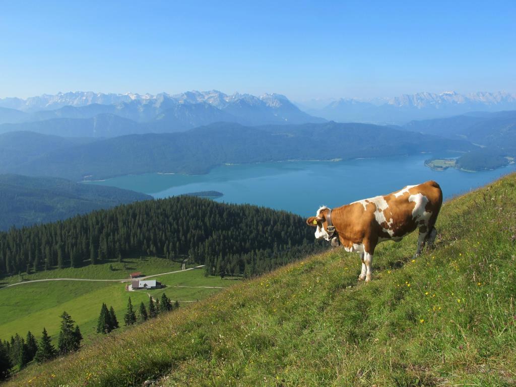 Jocheralm_christine Eben_02.jpg