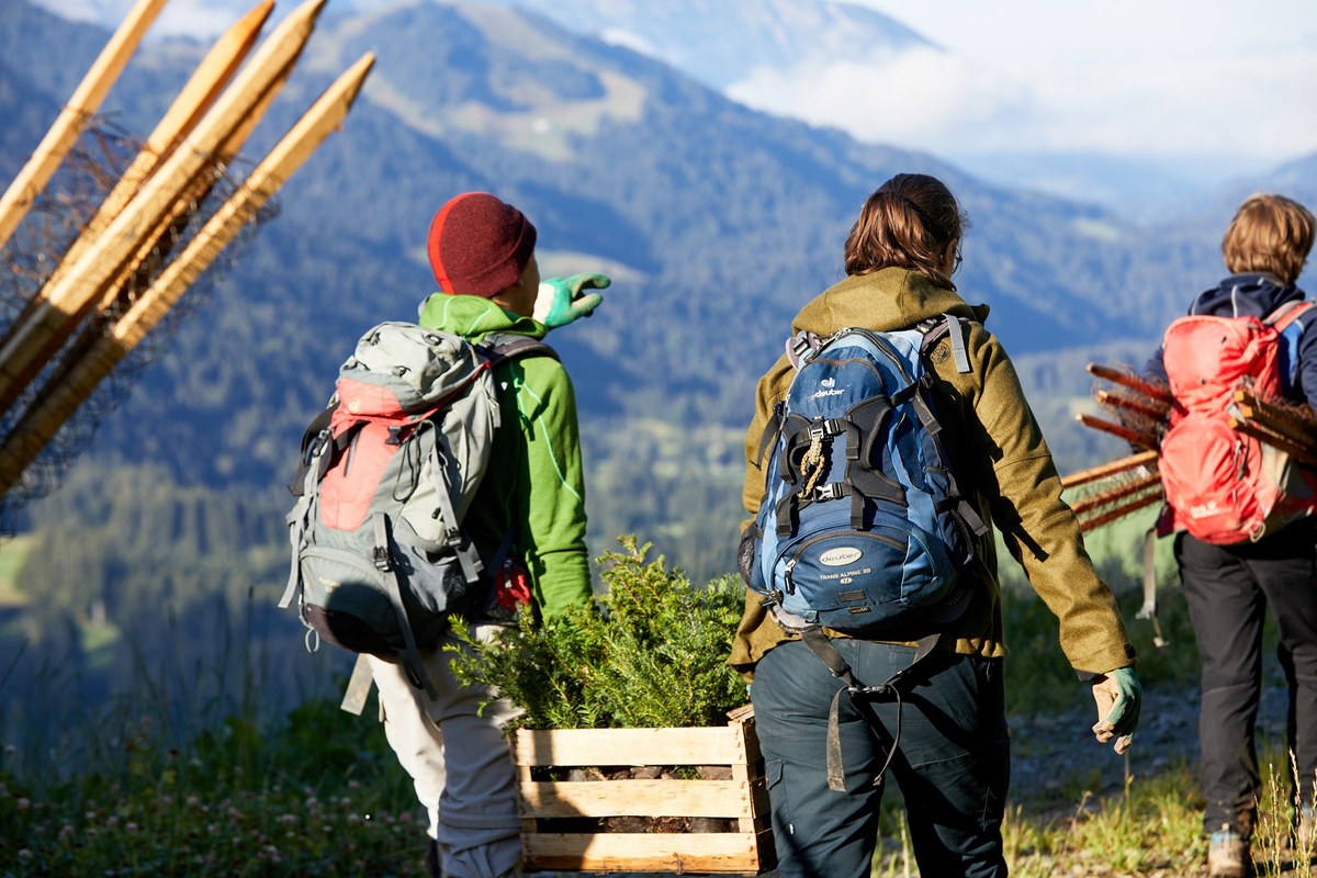 Klimakrise Lösungen aus der Natur(c)Bergwaldprojekt e.V._Eibenpflanzung Balderschwang_SLO.jpg
