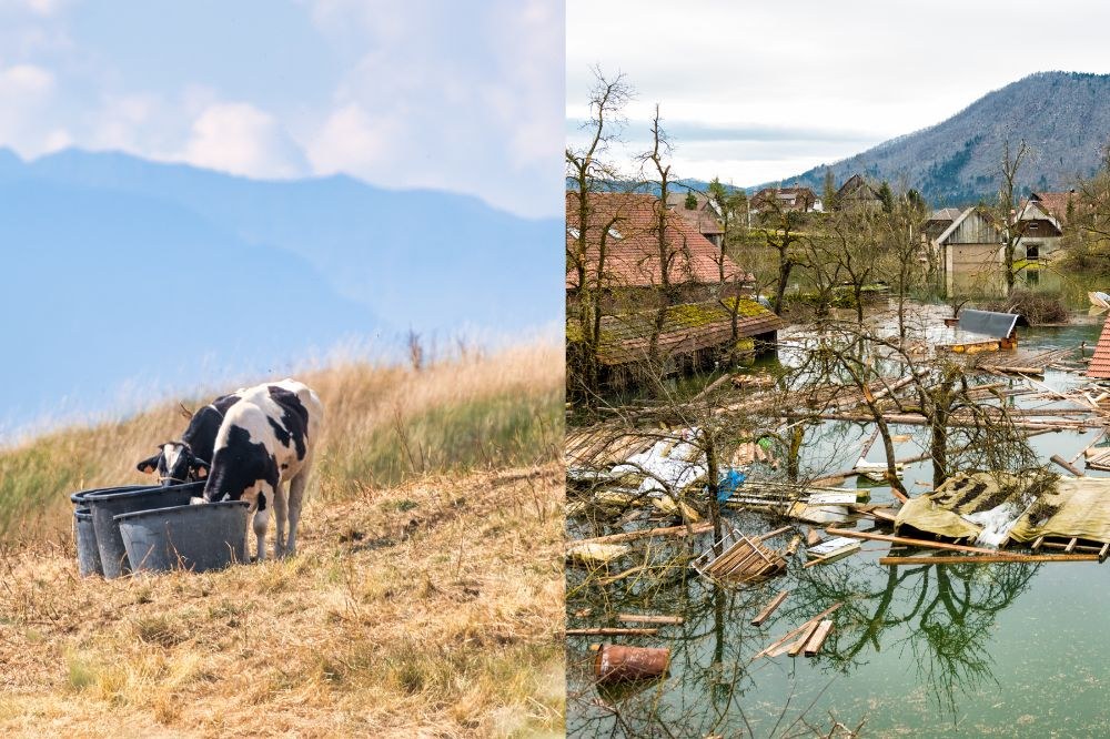 Kopie von Website-KachelVorschaubild(1).jpg