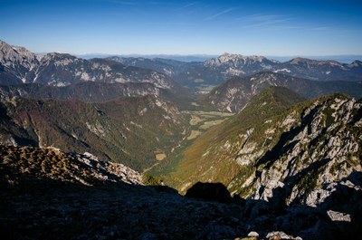 Krma_Aleš Zdešar.jpeg