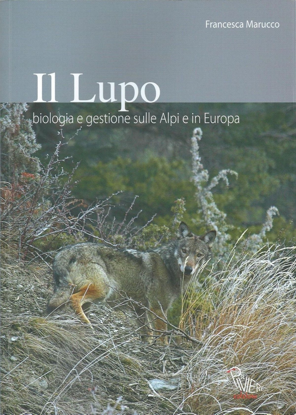 Lupo cover.JPG