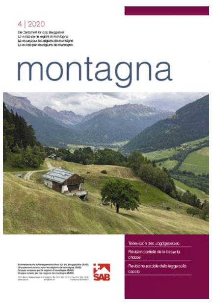 Montagna_042020.PNG