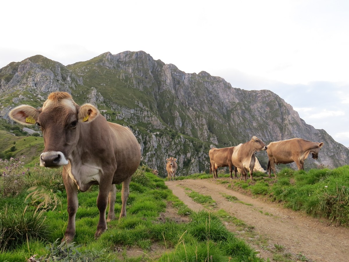 Mountain Product_Socatal_Miro Kristan (3).JPG