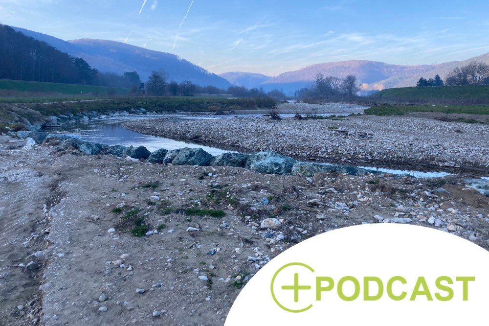 MultiBios web podcast.jpg