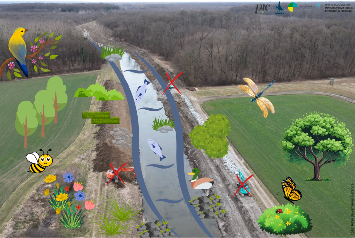 Nacionalni posvet_nov.png