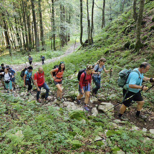 novinarska konferenca 1