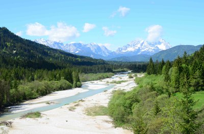 Obere Isar 18-05-13 Foto Franz Speer.JPG
