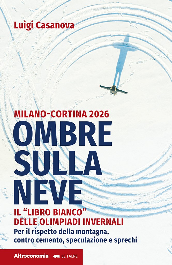 Ombre sulla neve .jpg