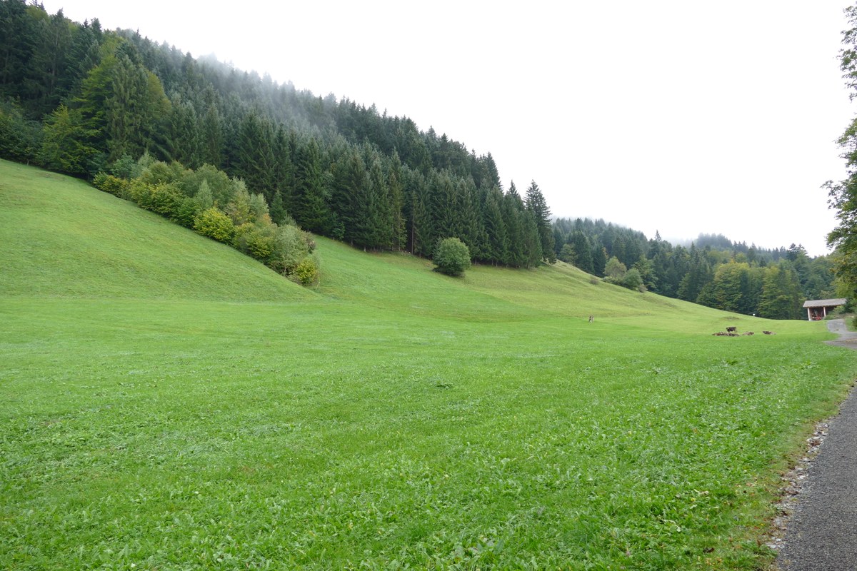 P7940111.JPG