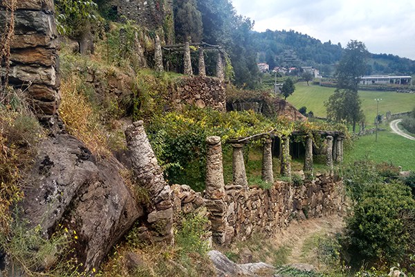 Paesaggio terrazzato dell'Alto Canavese (c) Francesco Pastorelli.jpg