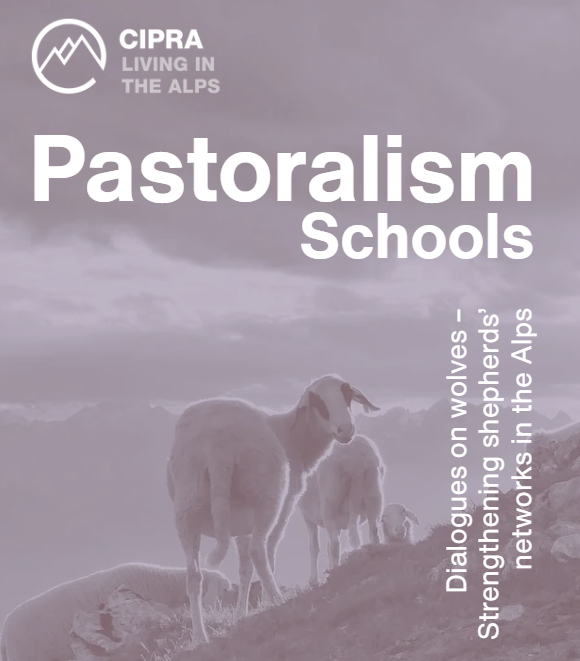PastoralismSchools.png