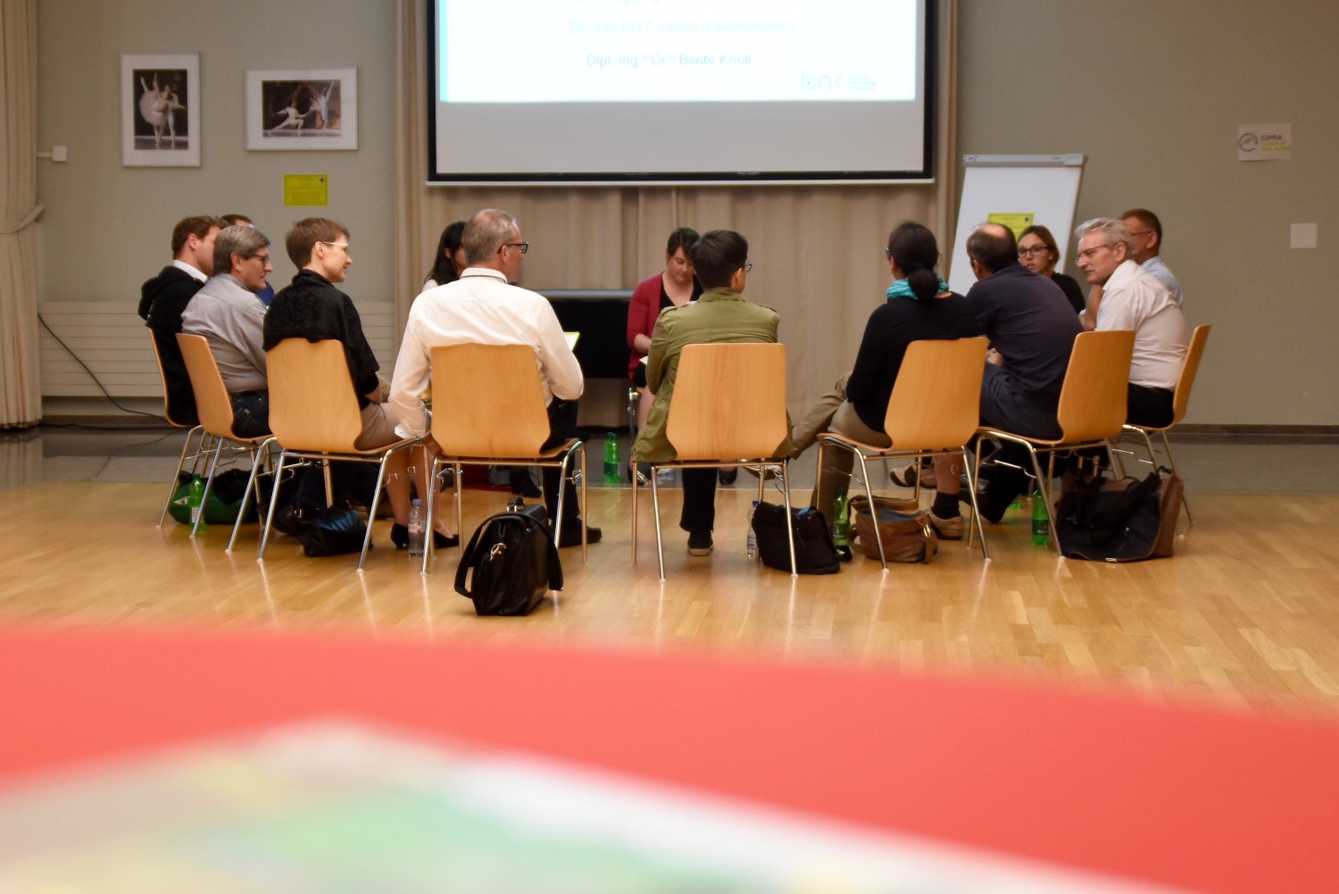 Pemo Fachtagung Vaduz2017(c)CarolineBegle (18)