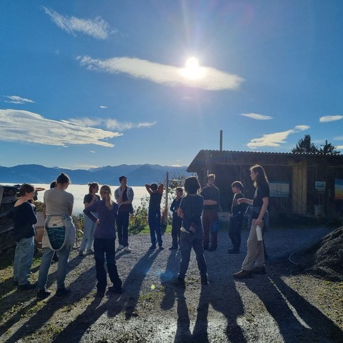 photo 2024 10 21 20 26 54