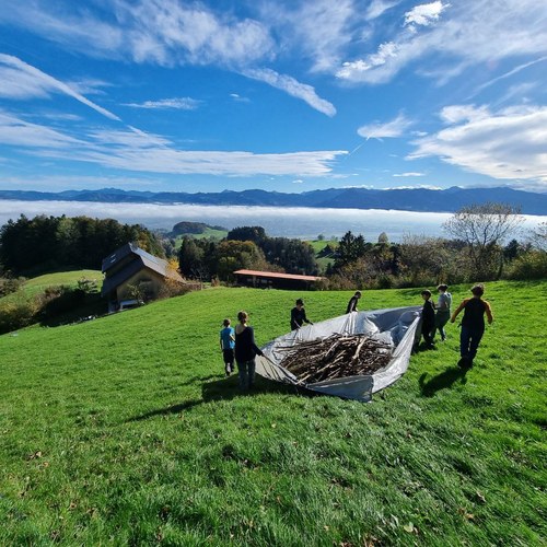 photo 2024 10 21 20 28 07