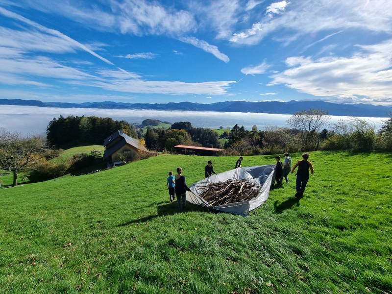 photo 2024 10 21 20 28 07