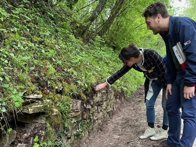 PietrePrezioseCipra Belluno 03