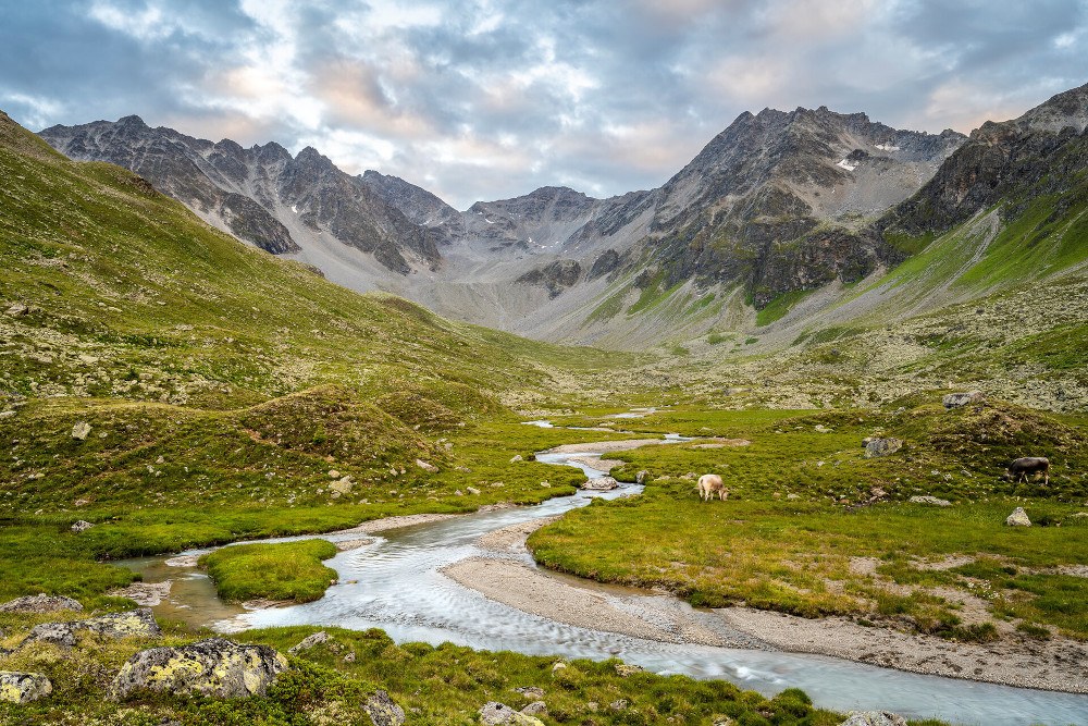 Platzertal 1000px (c) WWF Sebastian Froelich.jpg