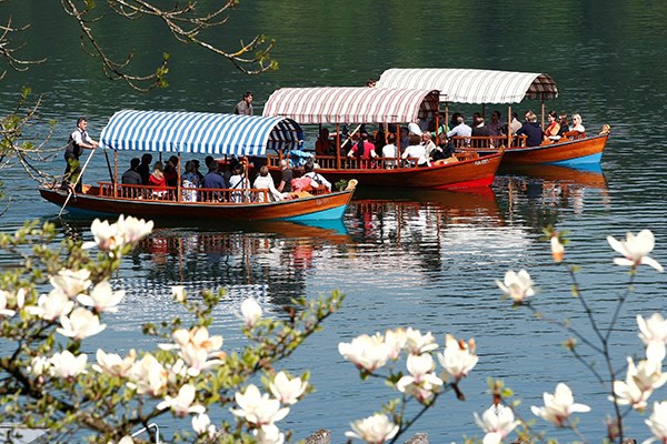 Pletnas (c) Obcina Bled.jpg