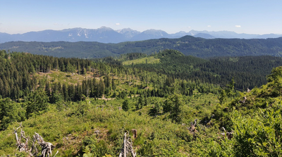 Posnetek zaslona 2024-11-21 110721.png