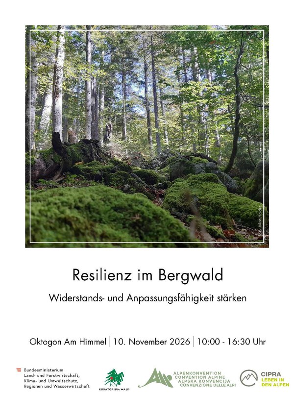 Programm_Bergwaldworkshop2026__Resilienz im Bergwald_1.jpg