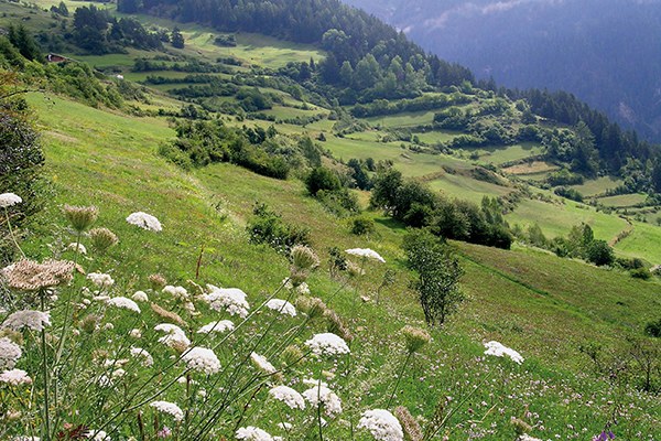 Ramosch_(c) Markus_Jenny.jpg