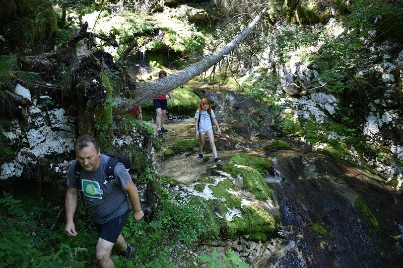 Resources_Wald_(c) CIPRA Slowenien.jpg