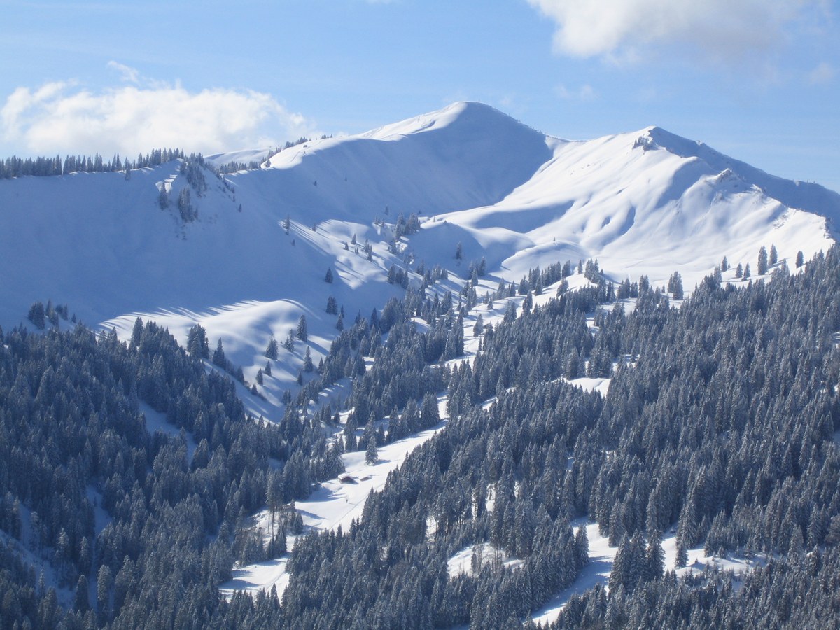 Riedberger Horn vom Weiherkopf.JPG