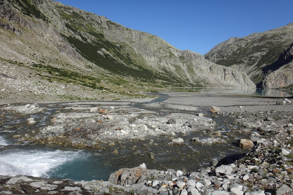 S20 Trift_Katharina von Steiger - Kopie.jfif