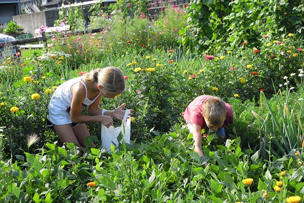 Schüler im Garten (23)(c) Bezau_A.JPG