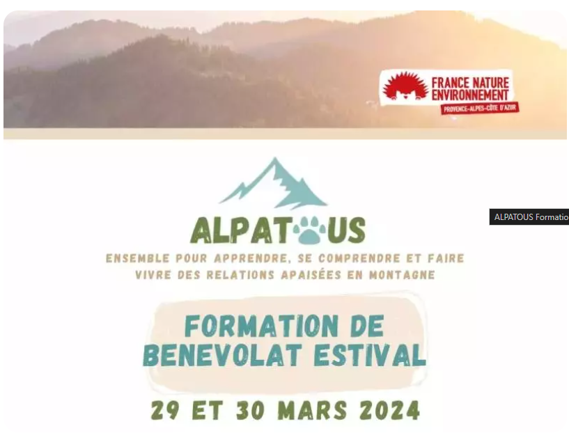 Screenshot 2024-03-05 125229.png