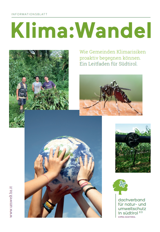 Screenshot 2024-03-26 123440.png