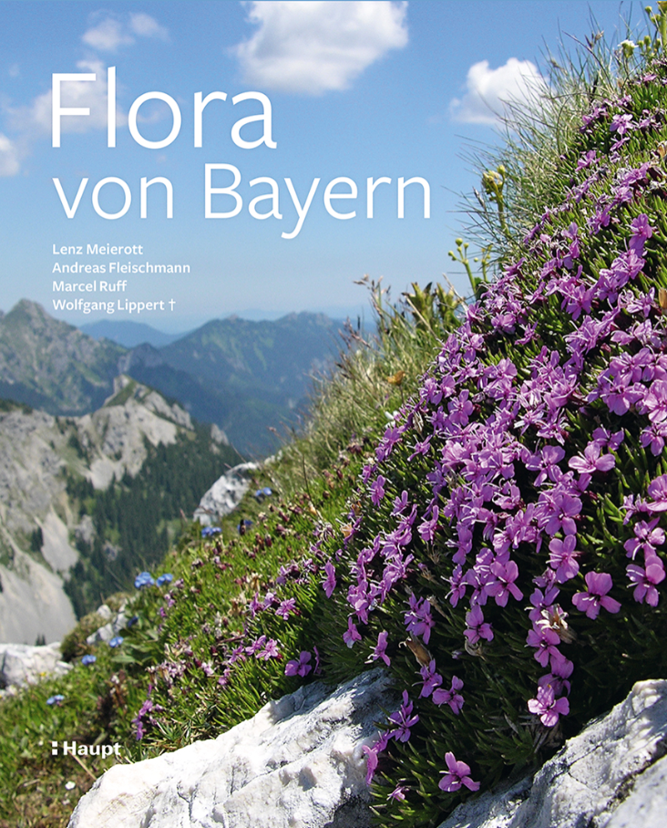 Screenshot 2024-10-11 085727.png