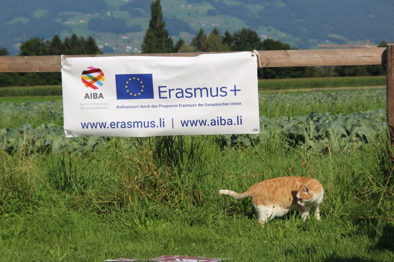 SDG Workshop Alps2030 cVeronika Hribernik CIPRA(5)