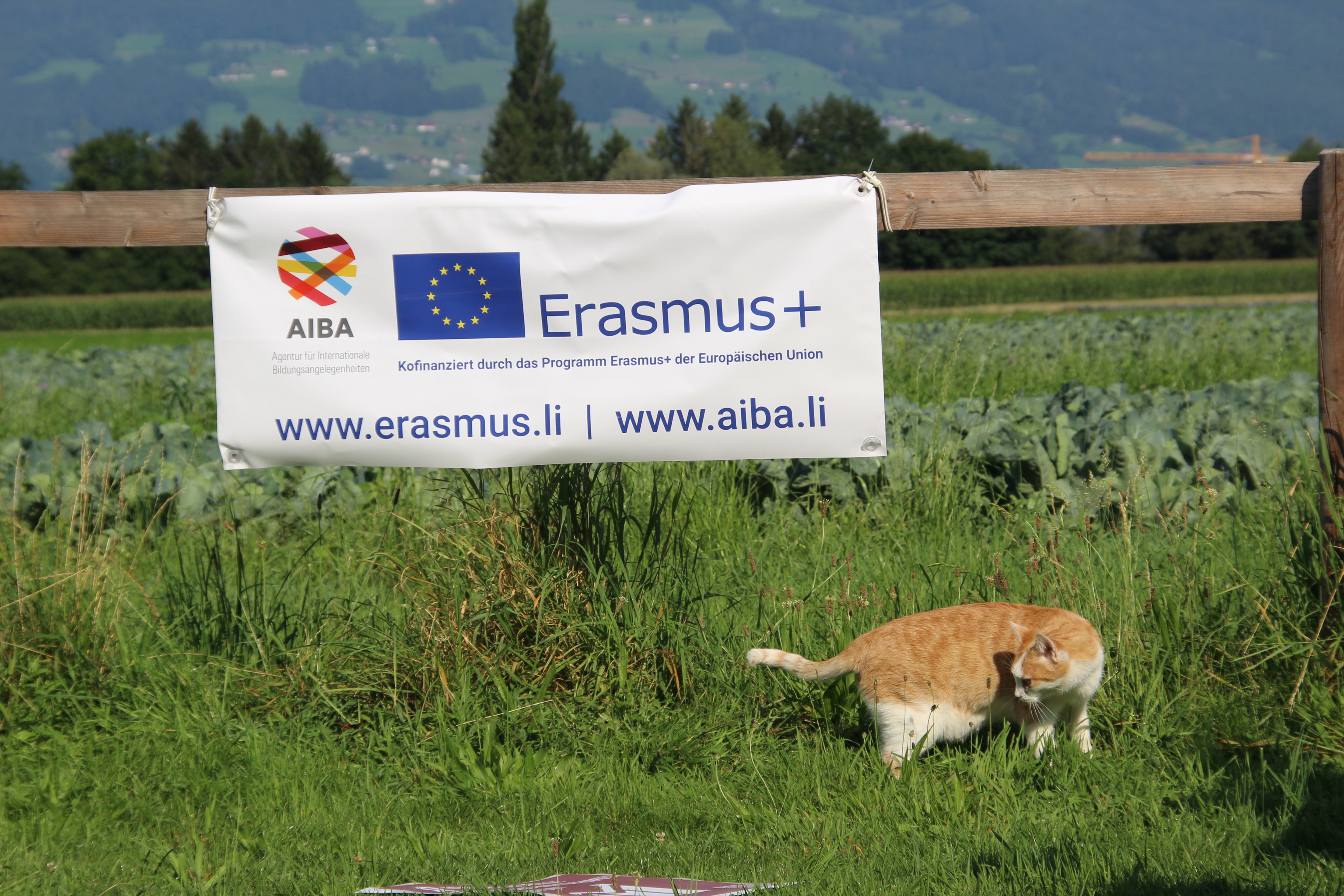 SDG Workshop Alps2030 cVeronika Hribernik CIPRA(5)