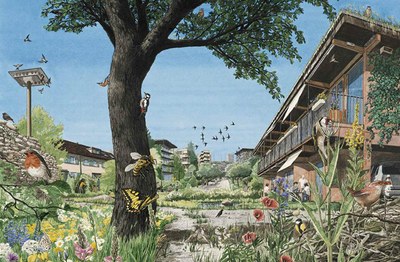 Siedlungsraum(c)Birdlife Schweiz.jpg