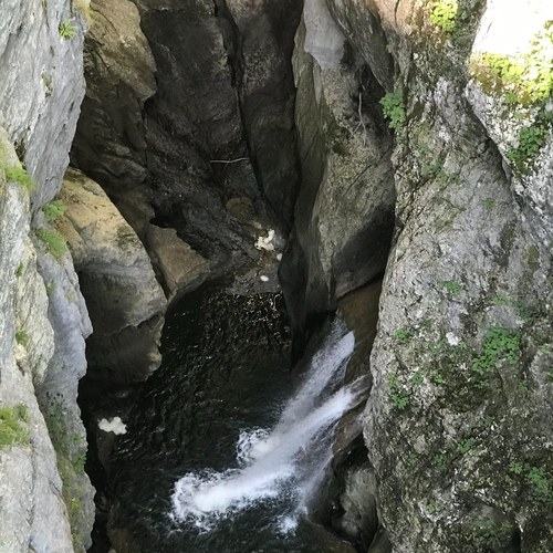 signal 2023 07 08 074734 013 (c) Manon Wallenberger CIPRA Int