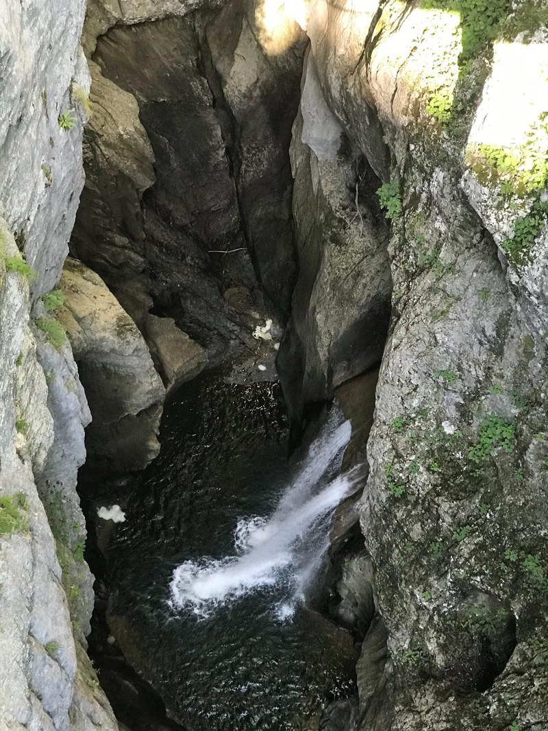 signal 2023 07 08 074734 013 (c) Manon Wallenberger CIPRA Int