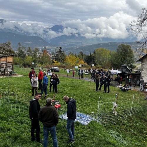 signal 2024 10 25 133310 005