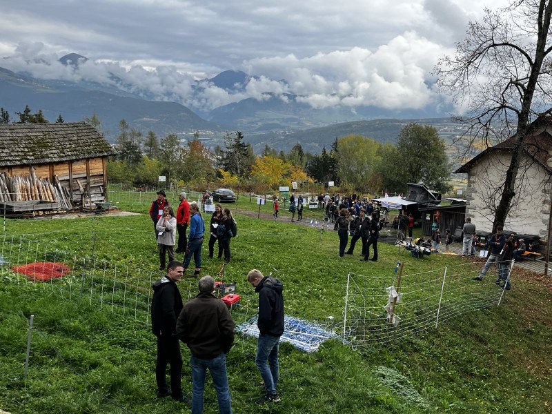 signal 2024 10 25 133310 005